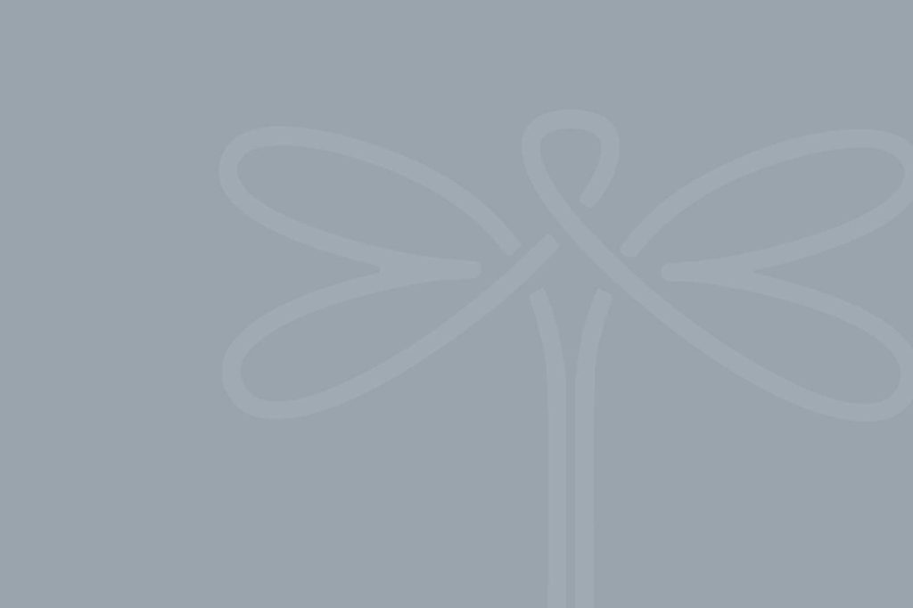 A placeholder image for Dragonfly Human Trafficking Victim Services